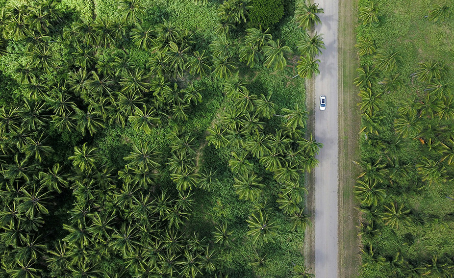 surf lessons in santa teresa costa rica