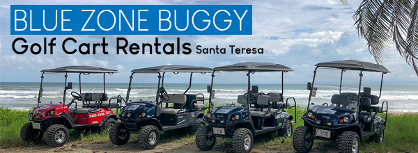 blue zone buggy golf cart rentals santa teresa