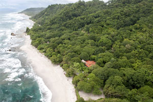 Flor Blanca Beach Front Resort Santa Teresa Costa Rica
