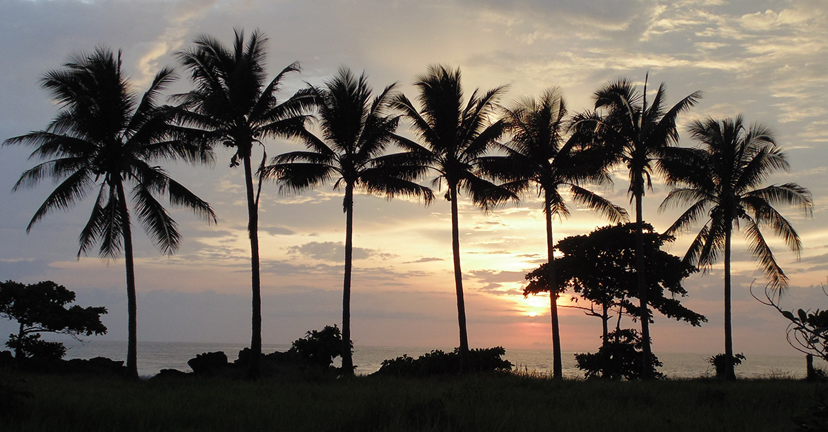 Santa Teresa Costa Rica Sunset Magic